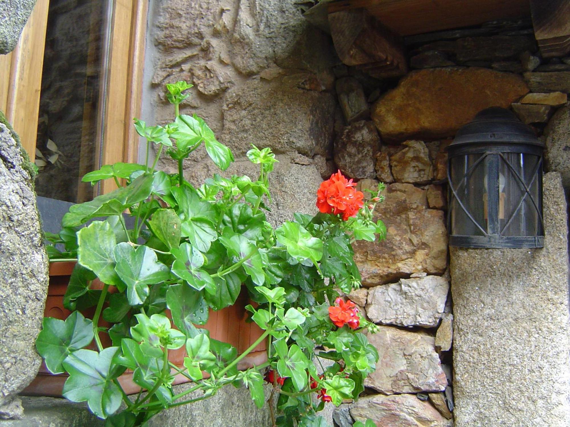 Casa Do Pinto Guest House Arouca Ngoại thất bức ảnh